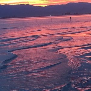 Meet your Posher, Coral